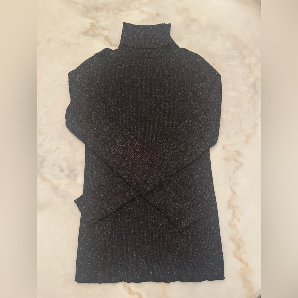 Express Metallic Turtleneck Sweater